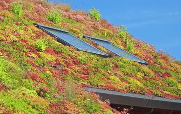 Bere Regis living roof systems