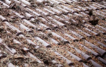 Bere Regis roof cleaning companies