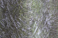 Bere Regis fibreglass roof work